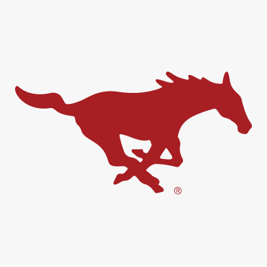 Southern Methodist University